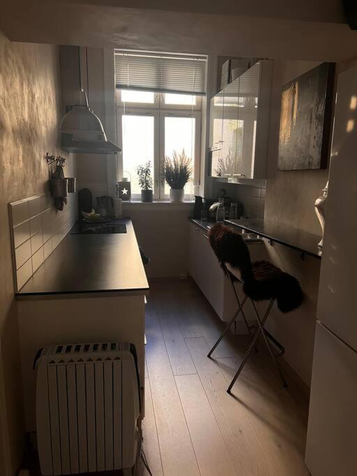 Royal Neighbourhood Elegant Flat In Central オスロ エクステリア 写真