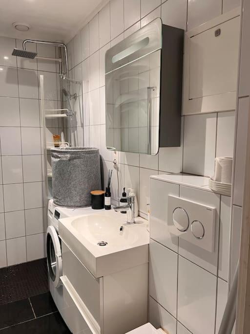 Royal Neighbourhood Elegant Flat In Central オスロ エクステリア 写真